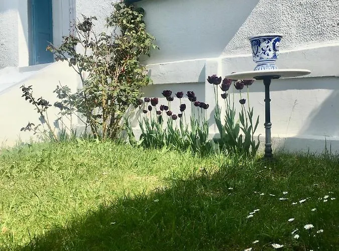 Sophie Holiday home *